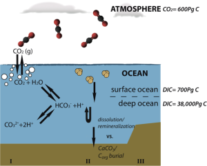 CO2 system