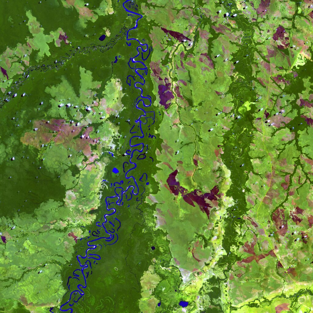 Rio Beni among forests and grasslands, by USGS via Unsplash